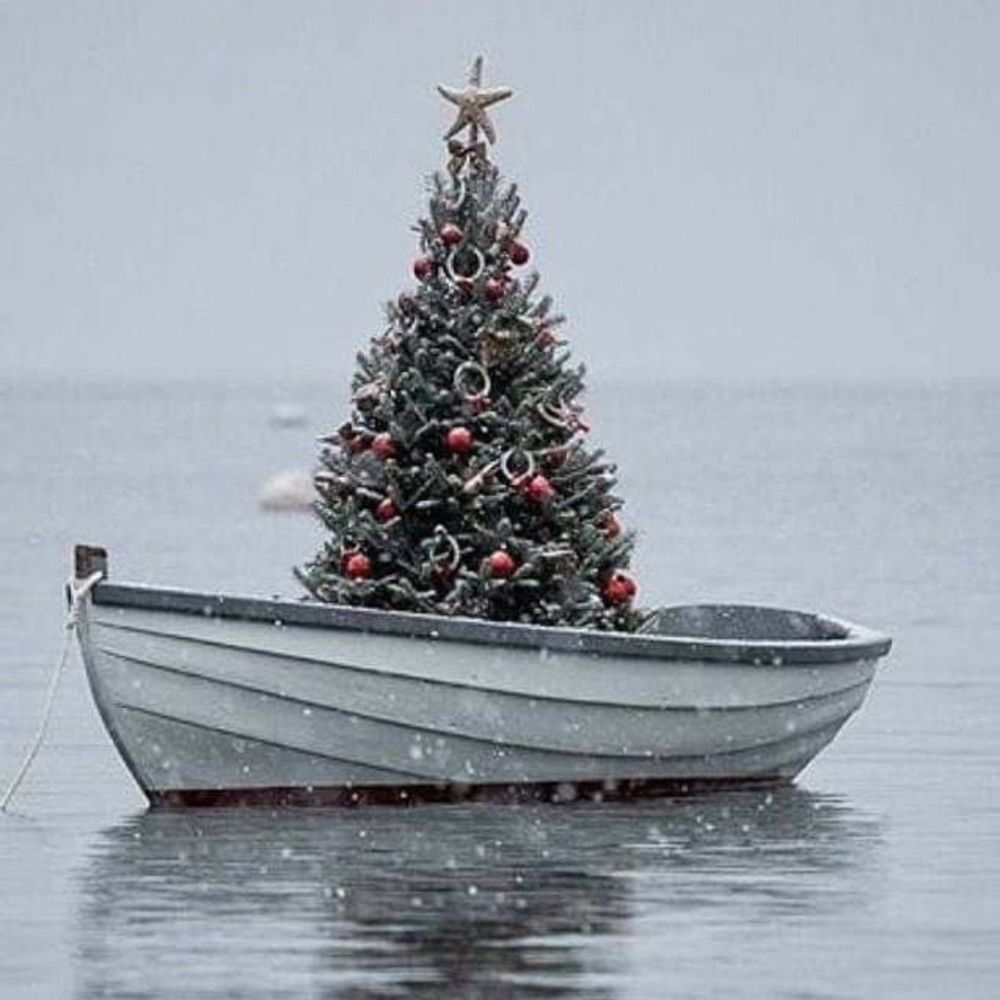 Meet your Posher, Paul